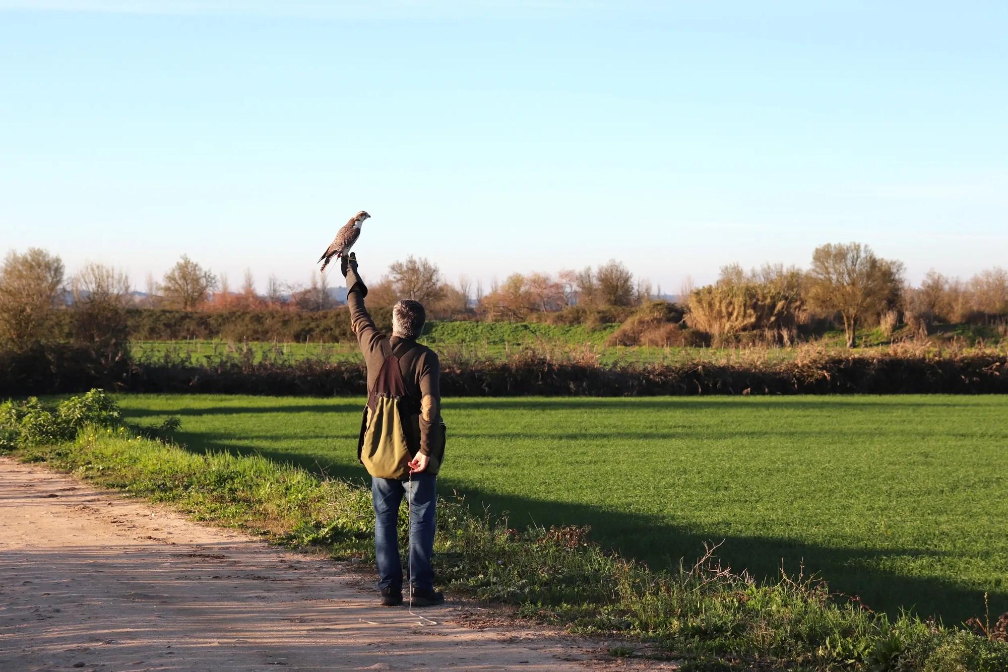 capital nacional da falcoaria